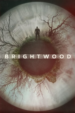 Brightwood 2022 HDRip