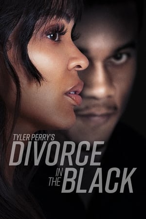 Tyler Perry's Divorce in the Black 2024 HDRip Dual