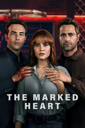 Episode 11 - 14
