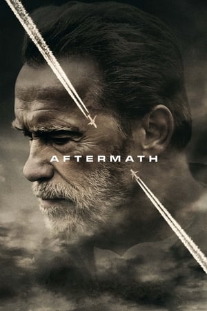 Aftermath 2017 BRRIp