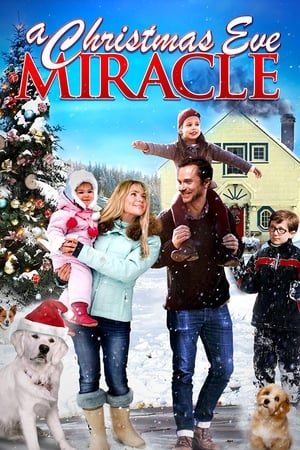 A Christmas Eve Miracle 2015 BRRip