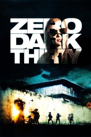 Zero Dark Thirty 2012 Dual Audio