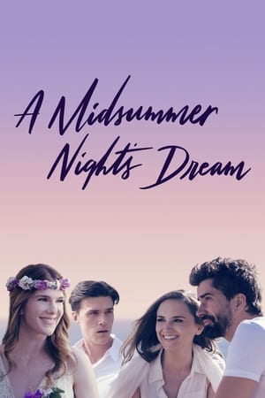 A Midsummer Night's Dream 2017 BRRip