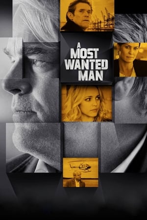 A Most Wanted Man 2014 BRRip