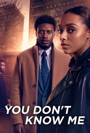 You Don't Know Me S01 2021 Dual Audio Web Series
