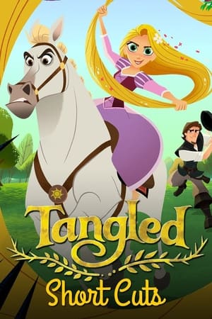 Tangled The Series S01 2017 Dual Audio