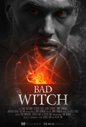 Bad Witch 2021 BRRip 