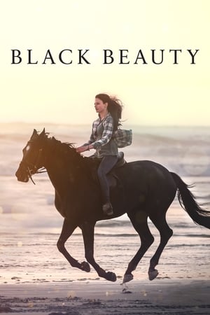 Black Beauty 2020 BRRip