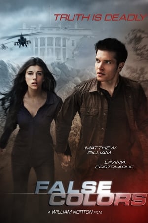 False Colors 2020 BRRip