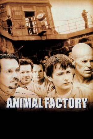 Animal Factory 2000 Dual Audio