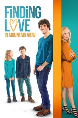 Finding Love in Mountain View 2020 BRRip