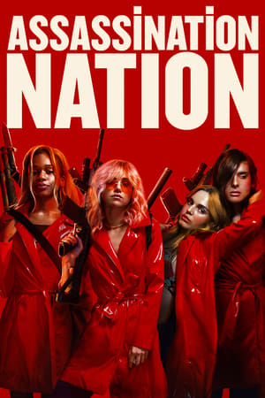 Assassination Nation 2018  BRRip