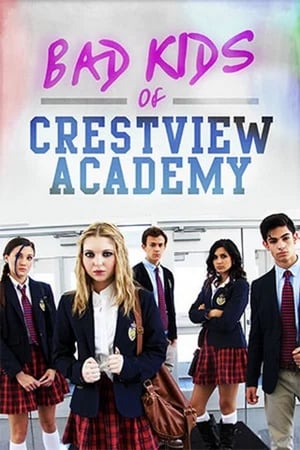 Bad Kids of Crestview Academy 2017 BRRip