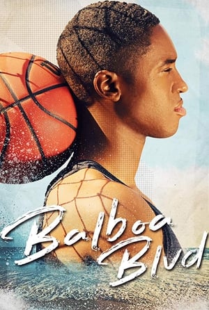 Balboa Blvd 2019 BRRip
