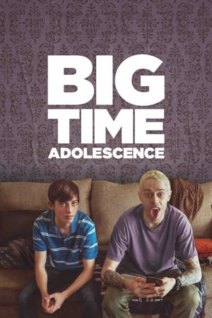 Big Time Adolescence 2019 BRRip