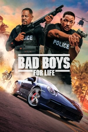 Bad Boys for Life 2020 DUAL Audio