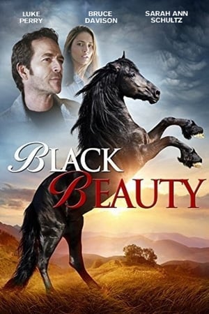 Black Beauty 2015 BRRIp