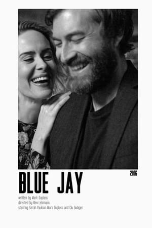 Blue Jay 2016 BRRip