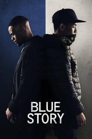 Blue Story 2019 BRRip