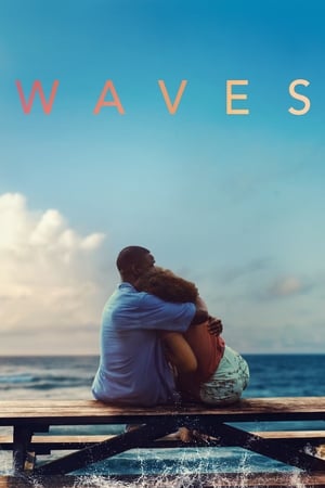 Waves 2019 BRRip