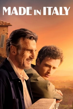 Made in Italy 2020 BRRip