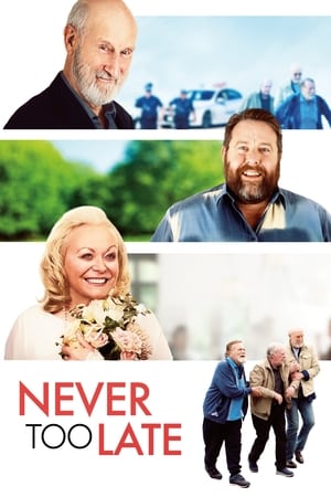 Never Too Late 2020 BRRip