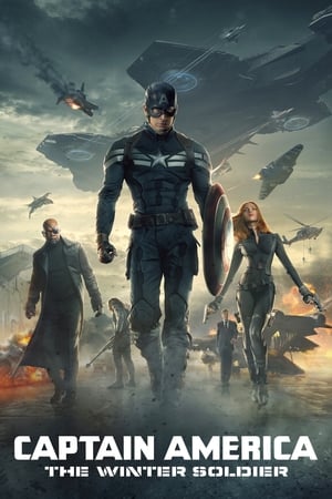Captain America: The Winter Soldier 2014 Dual Audio