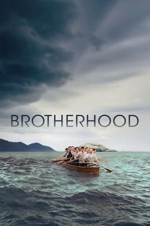 Brotherhood 2019 BRRIp