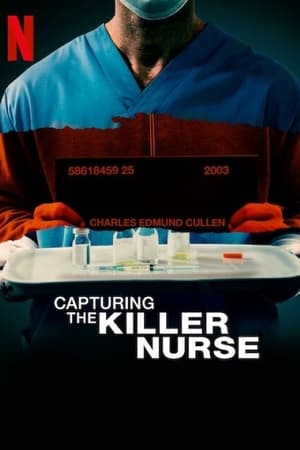 Capturing the Killer Nurse 2022 Dual Audio