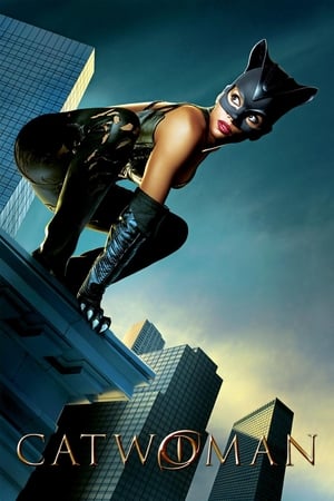 Catwoman 2004 Dual Audio