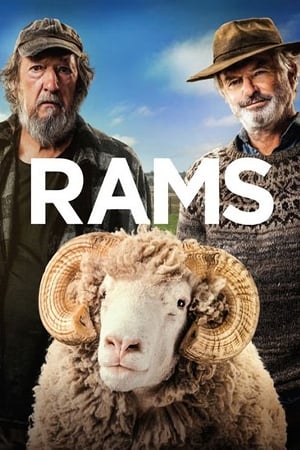 Rams 2020 BRRip