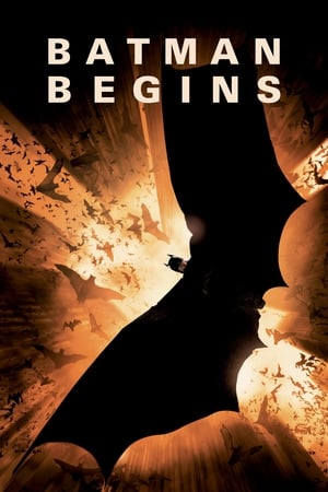 Batman Begins 2005  Dual Audio