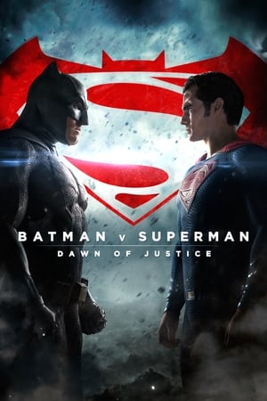 Batman v Superman: Dawn of Justice 2016 Dual Audio