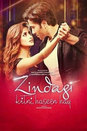 Zindagi Kitni Haseen Hay 2016 (Pakistani)