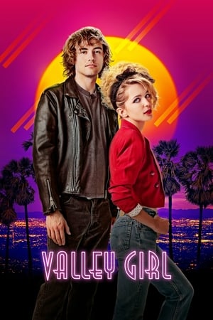 Valley Girl 2020 BRRIp