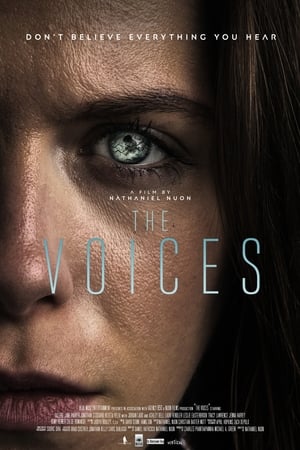 Voices 2020 BRRip