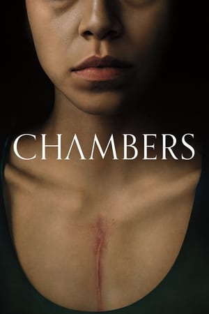 Chambers S01 2019 English