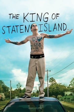 The King of Staten Island 2020 BRRip