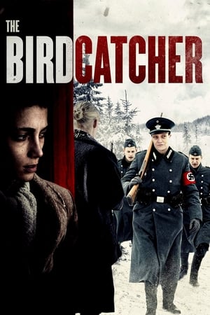 The Birdcatcher 2019 BRRip