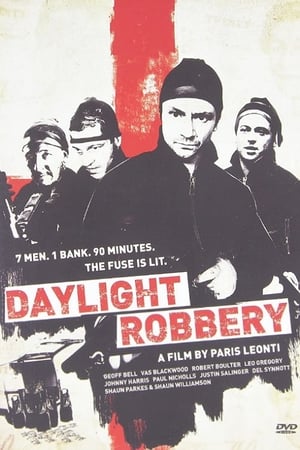 Daylight Robbery 2008 Dual Audio