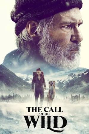 The Call of the Wild 2020 BRRip