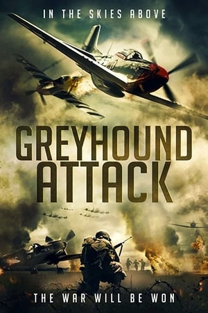 Greyhound Attack 2019 BRRip