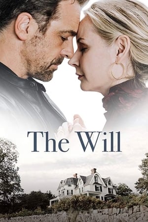 The Will 2020 BRRip