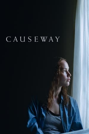 Causeway 2022 BRRip