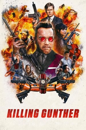 Killing Gunther 2017 BRRIp