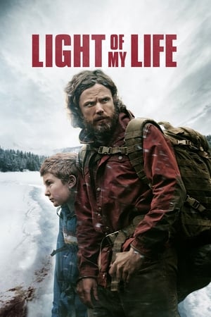 Light of My Life 2019 BRRIp