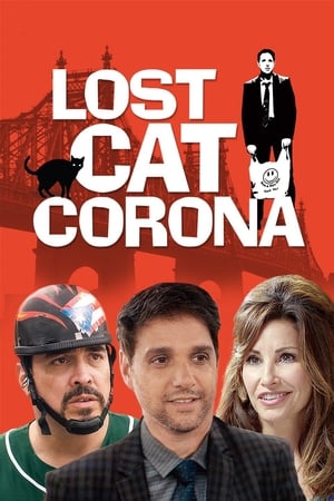 Lost Cat Corona 2017 BRRip