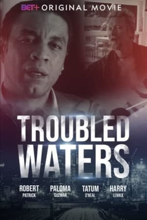 Troubled Waters 2020 BRRip