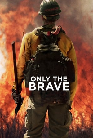 Only the Brave 2017 BRRip