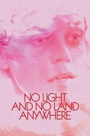 No Light and No Land Anywhere 2016 BRRip